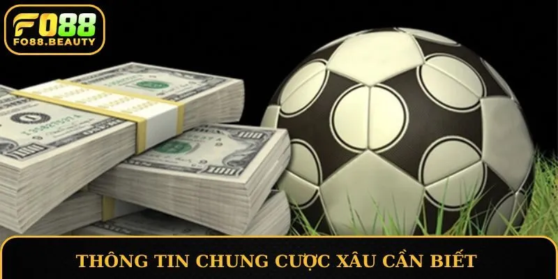 Thông tin chung cược xâu cần biết