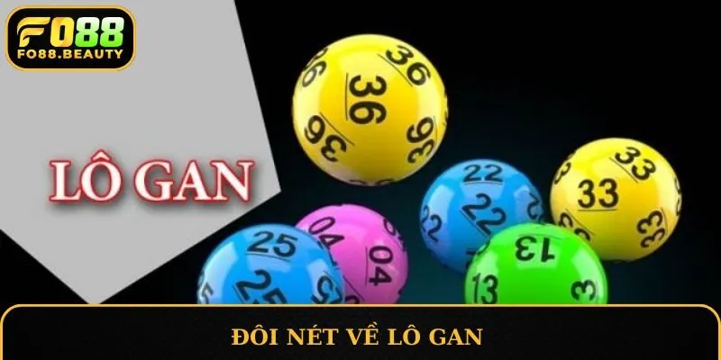 Đôi nét về lô gan