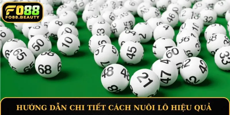 Hướng dẫn chi tiết cách nuôi lô hiệu quả nhất