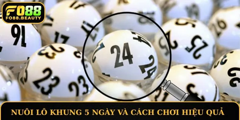 Nuôi lô khung 5 ngày và cách chơi hiệu quả