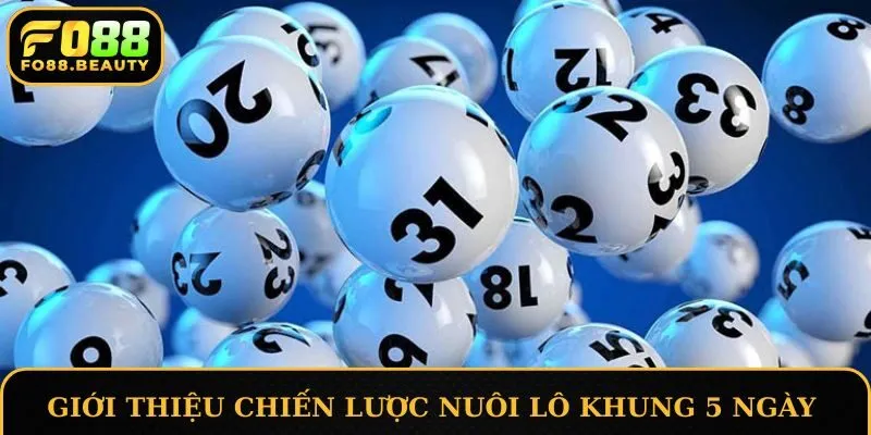 Giới thiệu chiến lược nuôi lô khung 5 ngày