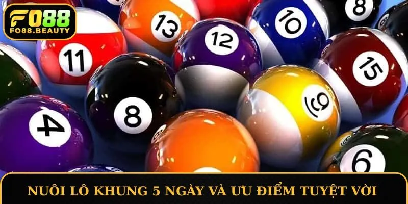 Nuôi lô khung 5 ngày và những ưu điểm tuyệt vời